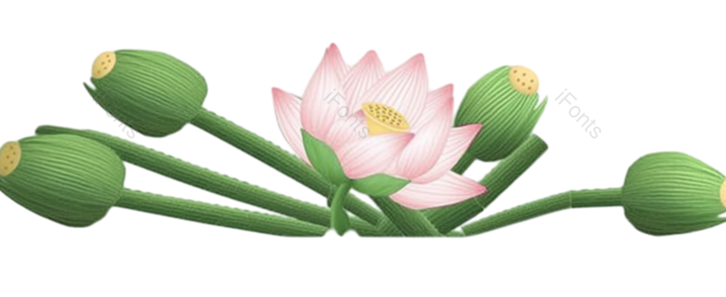 叶子图片,元素元素,卡通PNG,清新免抠素材